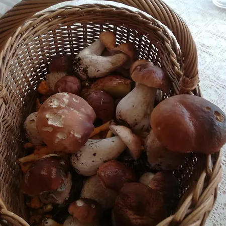 Landhaus Tschafein * Galtuer