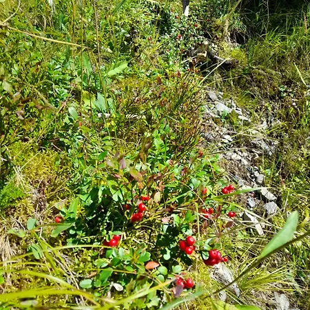 Landhaus Tschafein *