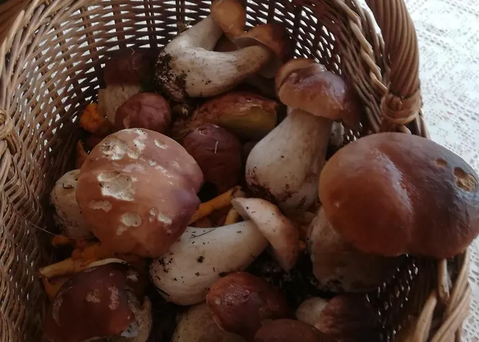 Tschafein * Galtür